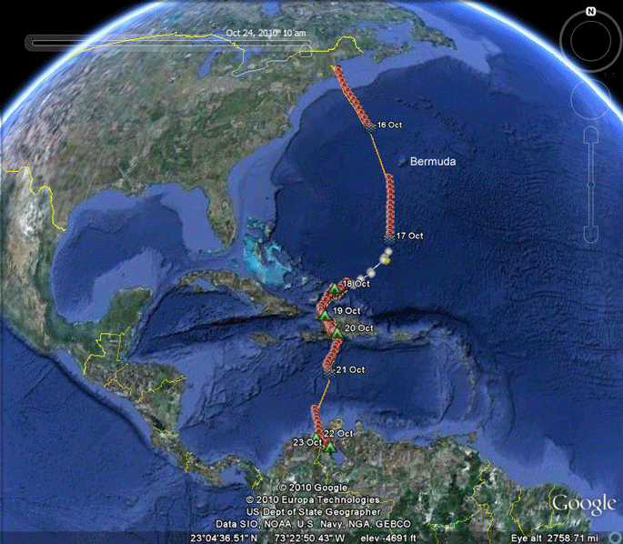 osprey migration route